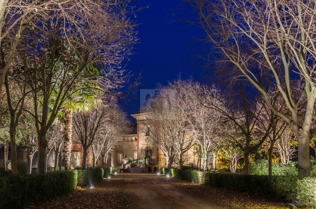 Vista del Jardin Iuminado