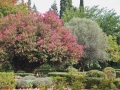Jardin Italiano con Adelfa